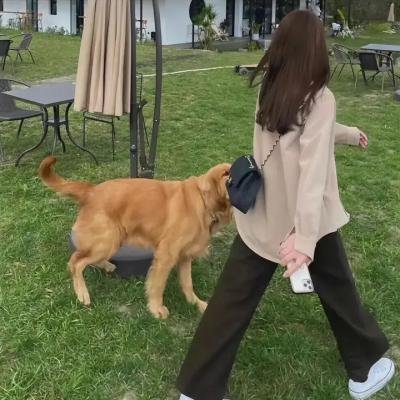 暧魅满屋